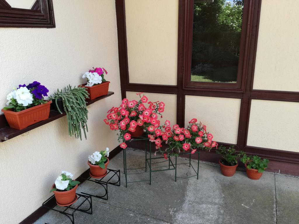 Stara Breza 1 Rooms Palic Exterior photo